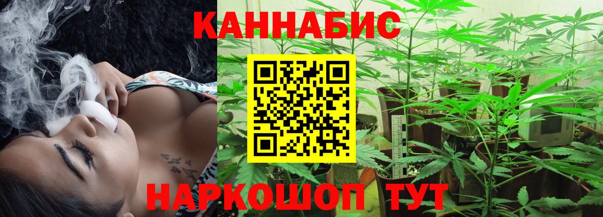 Каннабис Amnesia  Вход с VPN  Бошки Шишки OG Kush  Арсеньев 